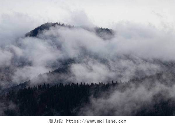 被雾气弥漫的大山雾气弥漫的大自然背景森林